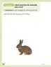 Miniatura página 33 de Ciencias Naturales – Primero Básico | Texto del Estudiante (MINEDUC) – Descargar PDF · 2024