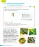 Miniatura página 71 de Ciencias Naturales – Tercero Básico | Texto del Estudiante MINEDUC – Descargar PDF · 2024