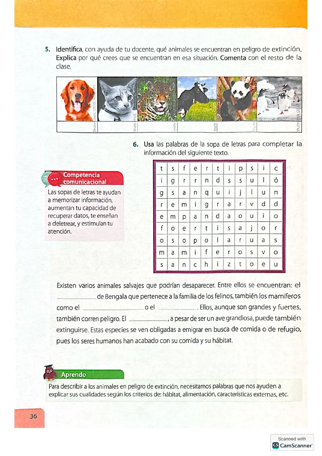 Pág 36