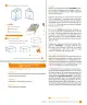 Miniatura página 157 de Sumo Primero – Quinto Básico | Texto del Estudiante MINEDUC – Descargar PDF · 2024