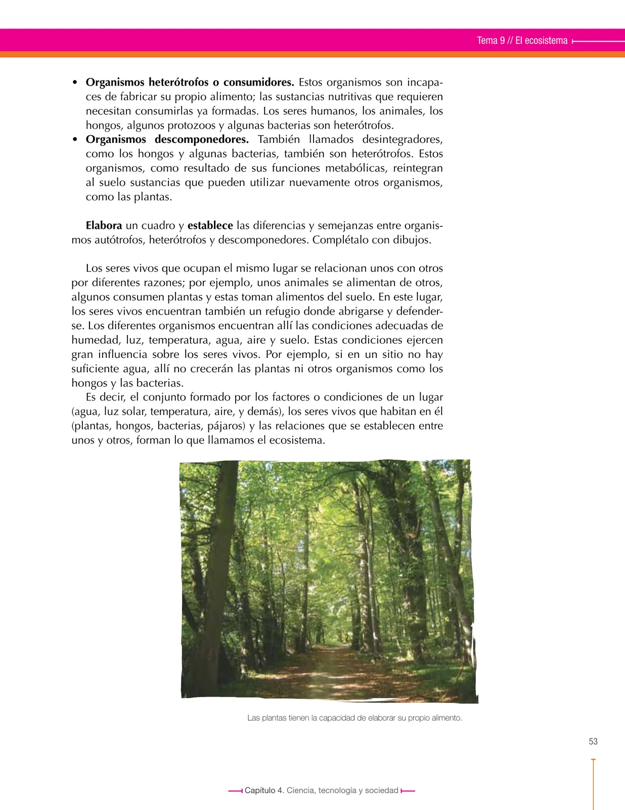 Miniatura página 53 de Ciencias Naturales 6° · Secundaria Activa