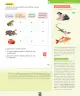 Miniatura página 82 de Ciencias Naturales – Segundo Básico | Texto del Estudiante MINEDUC – Descargar PDF · 2024
