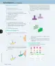 Miniatura página 235 de Matemática – Cuarto Básico | Texto del Estudiante MINEDUC – Descargar PDF · 2024
