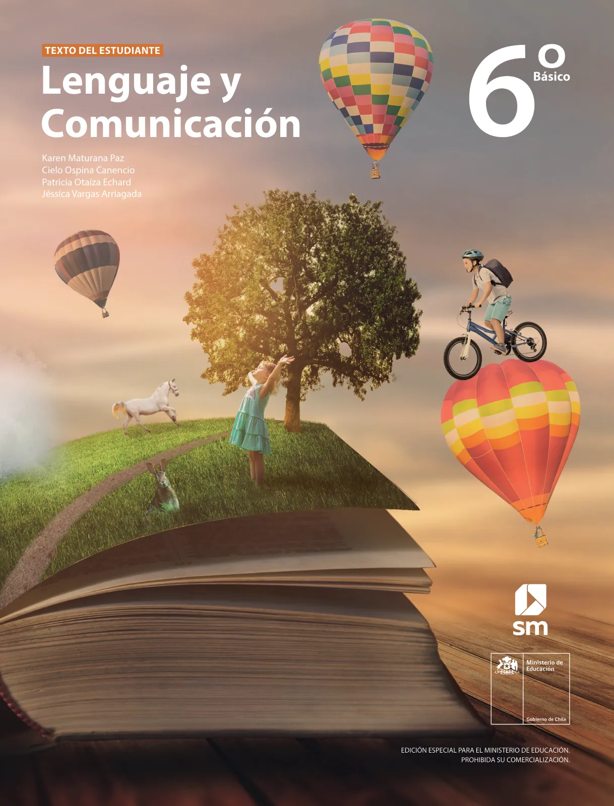 Miniatura página 1 de Lenguaje y Comunicación – Sexto Básico | Texto del Estudiante MINEDUC – Descargar PDF · 2024