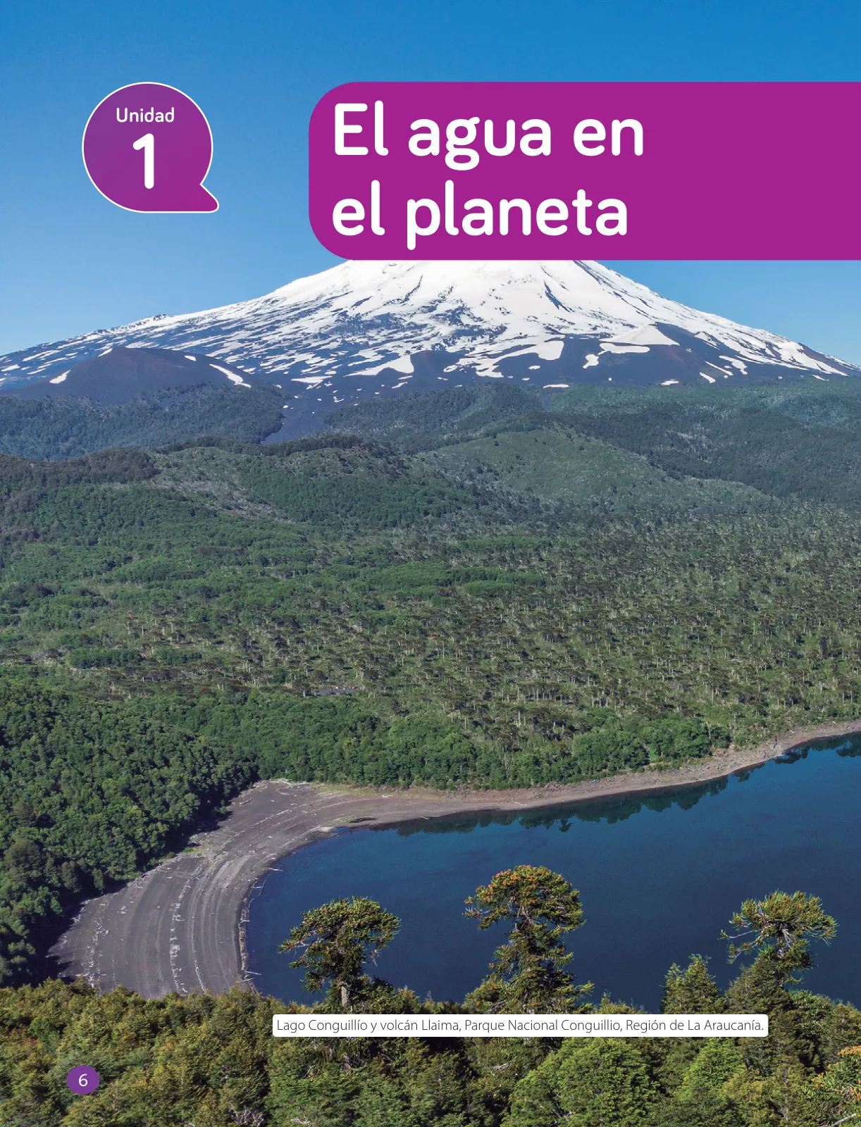 Miniatura página 8 de Libro de Ciencias Naturales – Quinto Básico | Texto del Estudiante MINEDUC – Descargar PDF · 2024