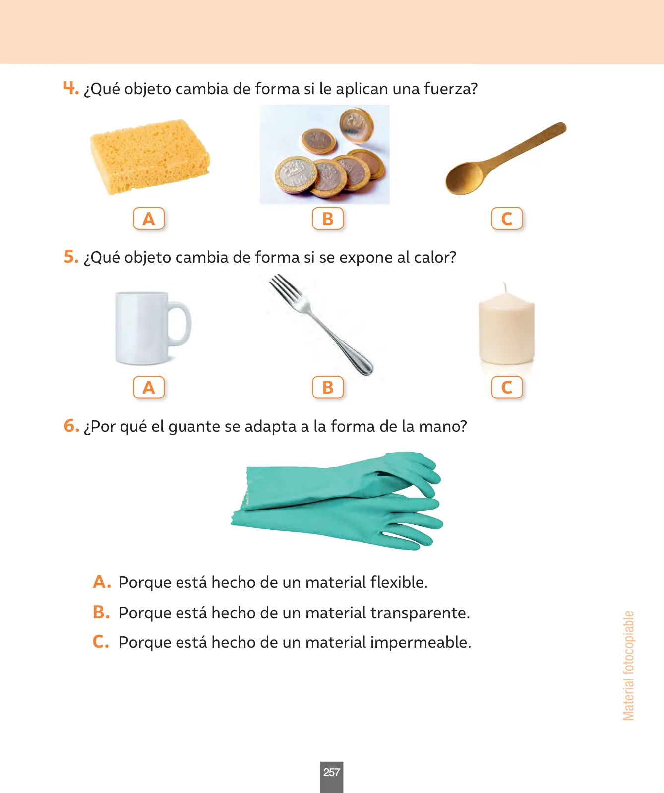 Página 66 de Ciencias Naturales – Primero Básico | Texto del Estudiante (MINEDUC) – Descargar PDF · 2024