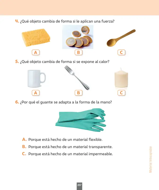 Página 66 de Ciencias Naturales – Primero Básico | Texto del Estudiante (MINEDUC) – Descargar PDF · 2024