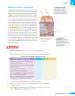 Miniatura página 116 de Libro de Ciencias Naturales – Quinto Básico | Texto del Estudiante MINEDUC – Descargar PDF · 2024
