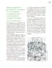 Miniatura página 138 de Crianza para la libertad. Libro para las familias. Fase 2  Libro de Educación Preescolar Grado 1°, 2°, 3°  Ciclo Escolar 2025 - 2026
