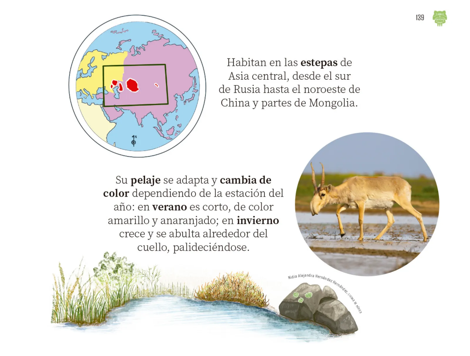 Página 140 de Múltiples lenguajes. Libro de Educación Preescolar Grado 2° Ciclo Escolar 2025 - 2026