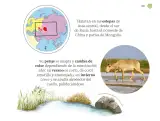Miniatura página 140 de Múltiples lenguajes.   Libro de Educación Preescolar Grado 2°  Ciclo Escolar 2025 - 2026