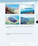 Miniatura página 142 de Historia, Geografía y Ciencias Sociales – Tercero Básico | Texto del Estudiante MINEDUC – Descargar PDF · 2024
