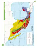 Miniatura página 100 de Cartografía de México y el mundo.   Libro de Educación Primaria Grado 4°  Ciclo Escolar 2025 - 2026