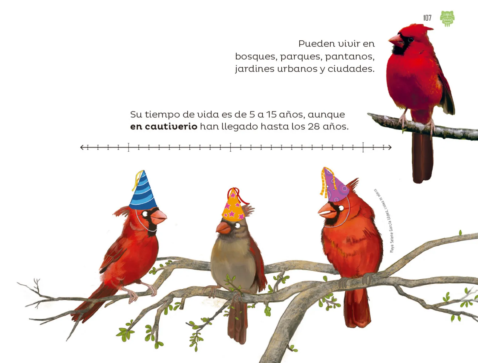 Pág 108