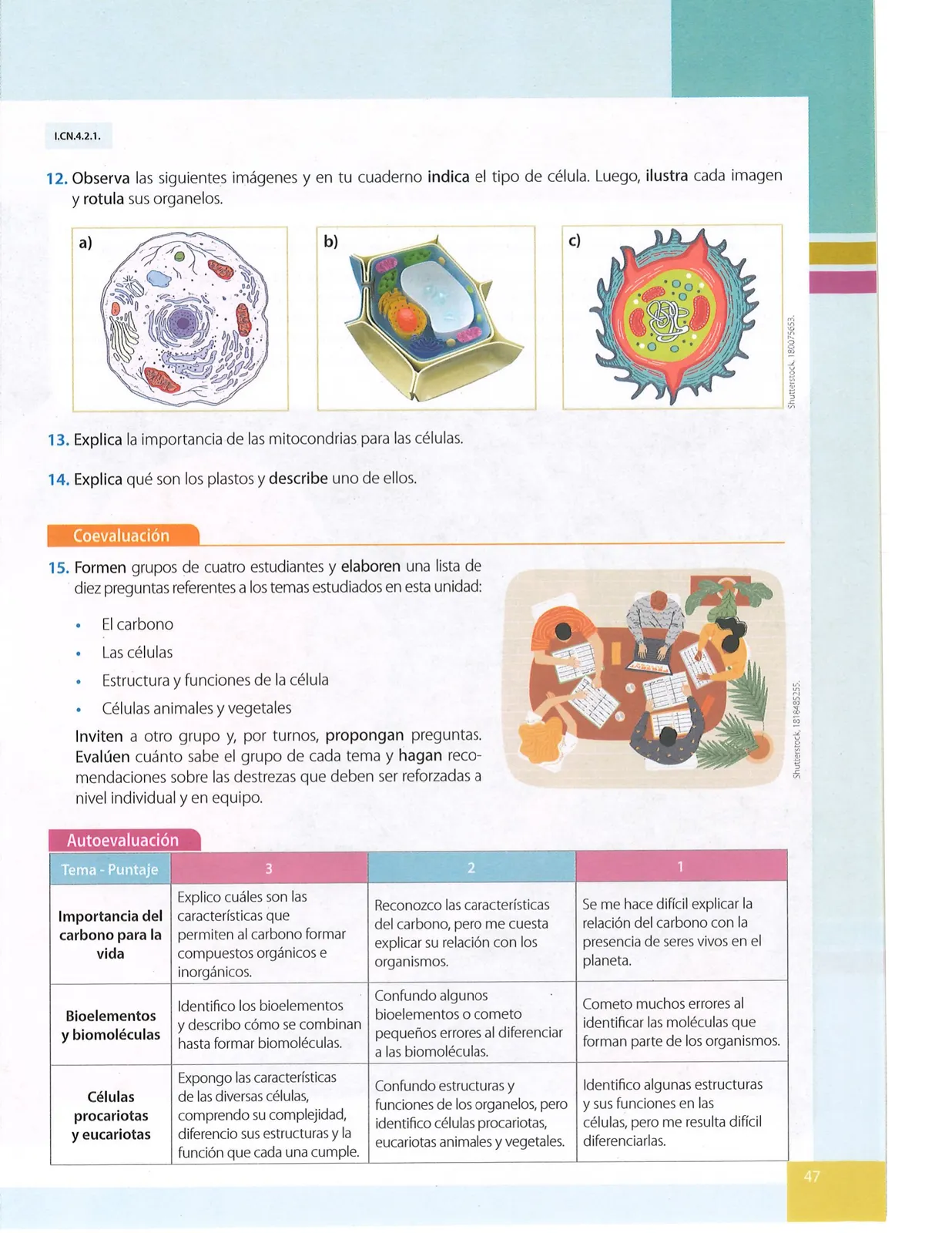 Miniatura página 48 de Ciencias Naturales · 9 EGB · 2024