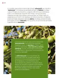 Miniatura página 103 de Múltiples lenguajes.   Libro de Educación Primaria Grado 4°  Ciclo Escolar 2025 - 2026