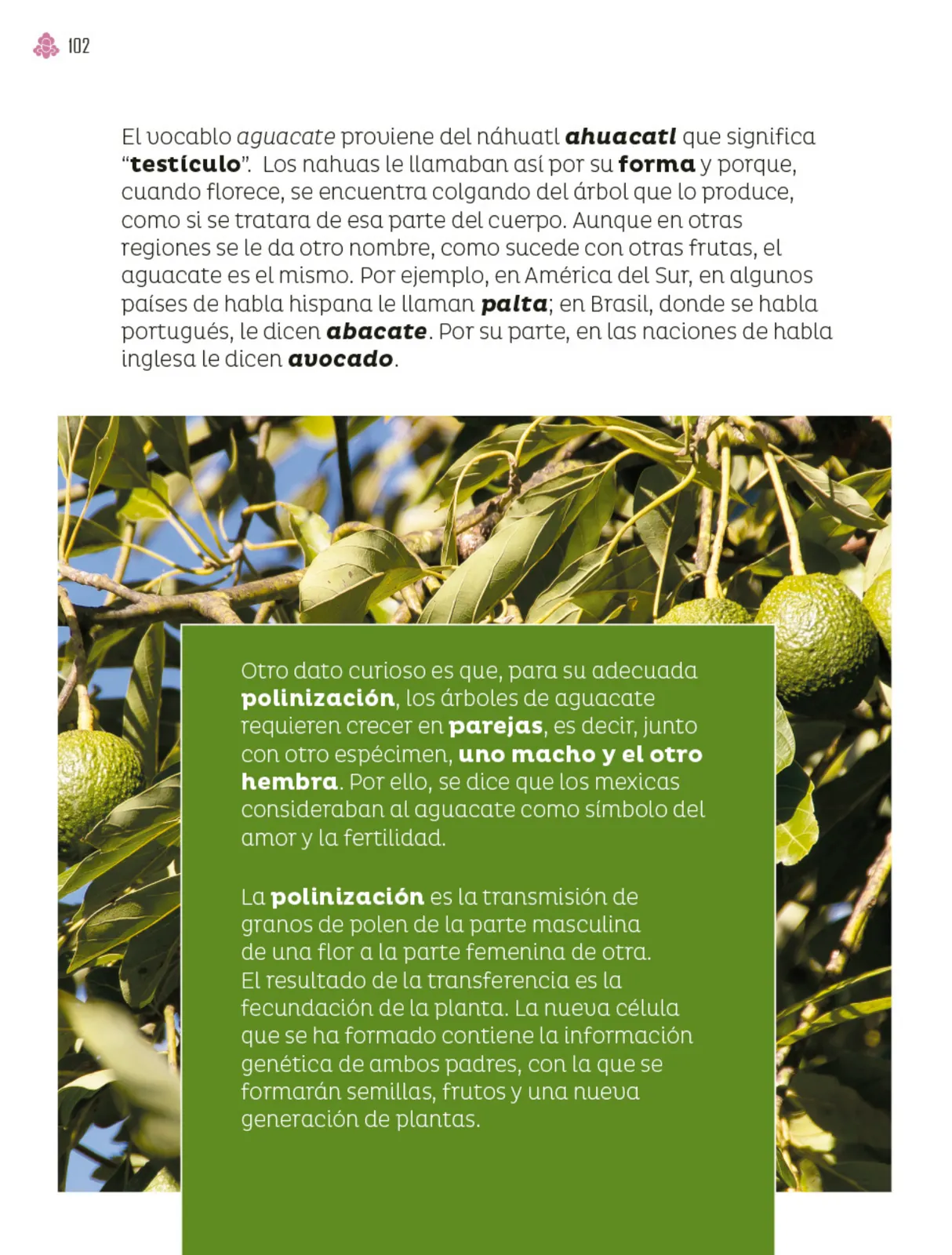 Pág 103