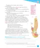 Miniatura página 181 de Lenguaje y Comunicación – Tercero Básico | Texto del Estudiante MINEDUC – Descargar PDF · 2024