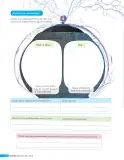 Miniatura página 91 de Libro de Ciencias Naturales – Quinto Básico | Texto del Estudiante MINEDUC – Descargar PDF · 2024
