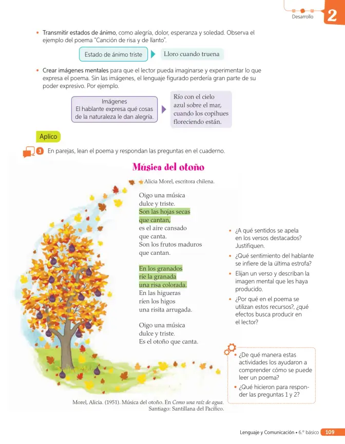 Página 208 de Lenguaje y Comunicación – Sexto Básico | Texto del Estudiante MINEDUC – Descargar PDF · 2024