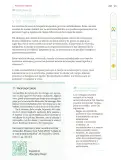 Miniatura página 238 de Nuestros saberes: Libro para alumnos, maestros y familia.   Libro de Educación Primaria Grado 5°  Ciclo Escolar 2025 - 2026