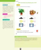 Miniatura página 97 de Ciencias Naturales – Primero Básico | Texto del Estudiante (MINEDUC) – Descargar PDF · 2024