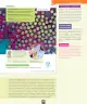 Miniatura página 124 de Ciencias Naturales – Séptimo Básico | Texto del Estudiante MINEDUC – Descargar PDF · 2024