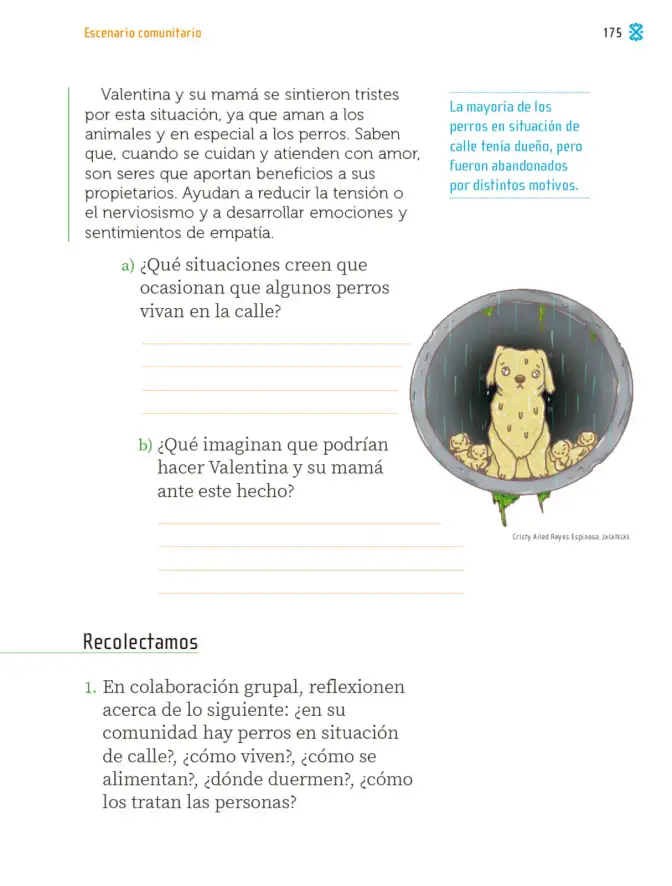 Página 178 de Proyectos Comunitarios. Libro de Educación Primaria Grado 2° Ciclo Escolar 2025 - 2026