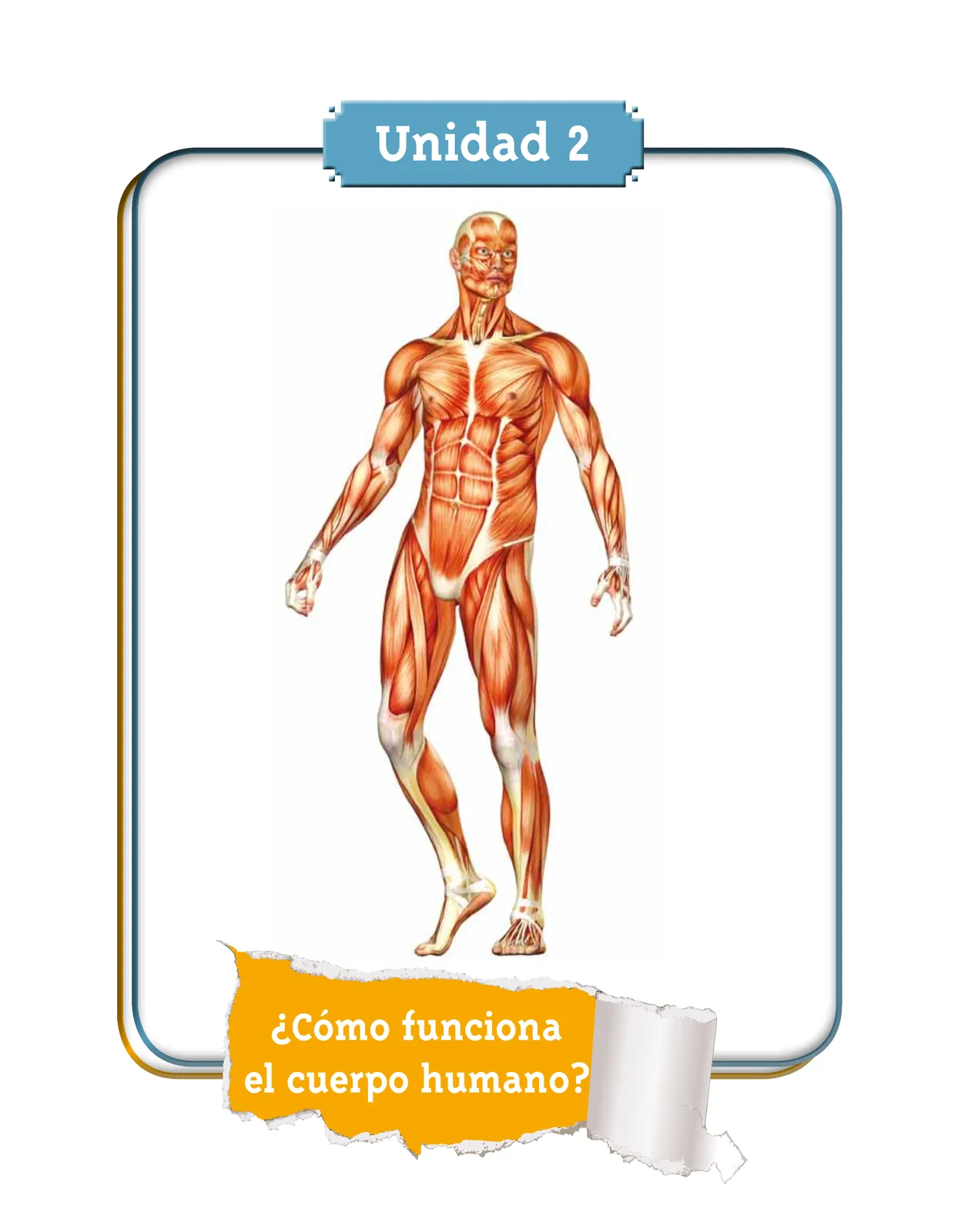 Página 41 de Ciencias Naturales 5° · Cartilla 01