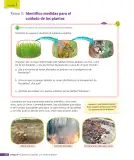 Miniatura página 153 de Ciencias Naturales – Tercero Básico | Texto del Estudiante MINEDUC – Descargar PDF · 2024