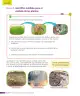 Miniatura página 153 de Ciencias Naturales – Tercero Básico | Texto del Estudiante MINEDUC – Descargar PDF · 2024
