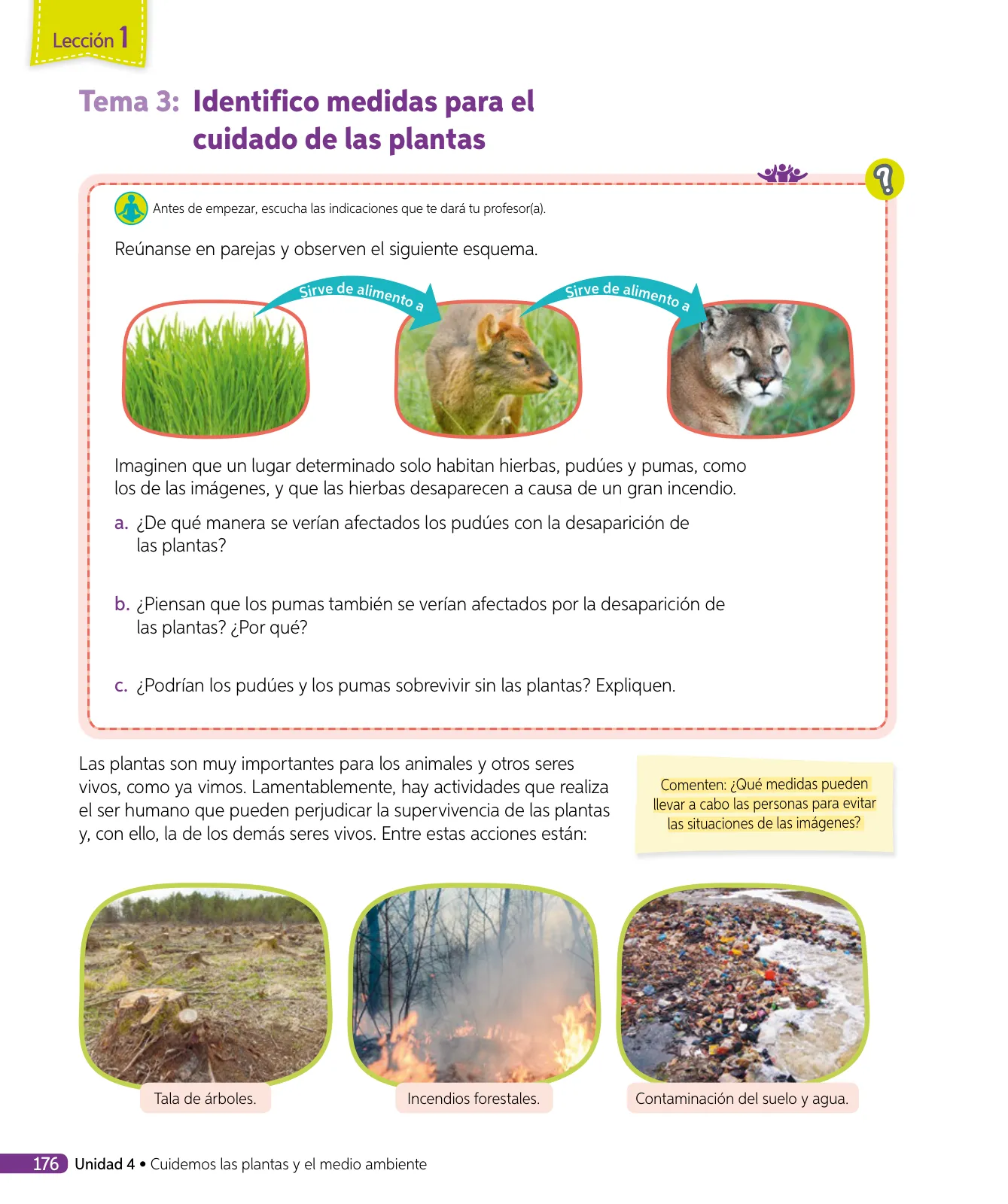 Miniatura página 153 de Ciencias Naturales – Tercero Básico | Texto del Estudiante MINEDUC – Descargar PDF · 2024