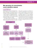 Miniatura página 170 de Ciencias Naturales 8° · Secundaria Activa