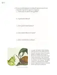 Pág 15