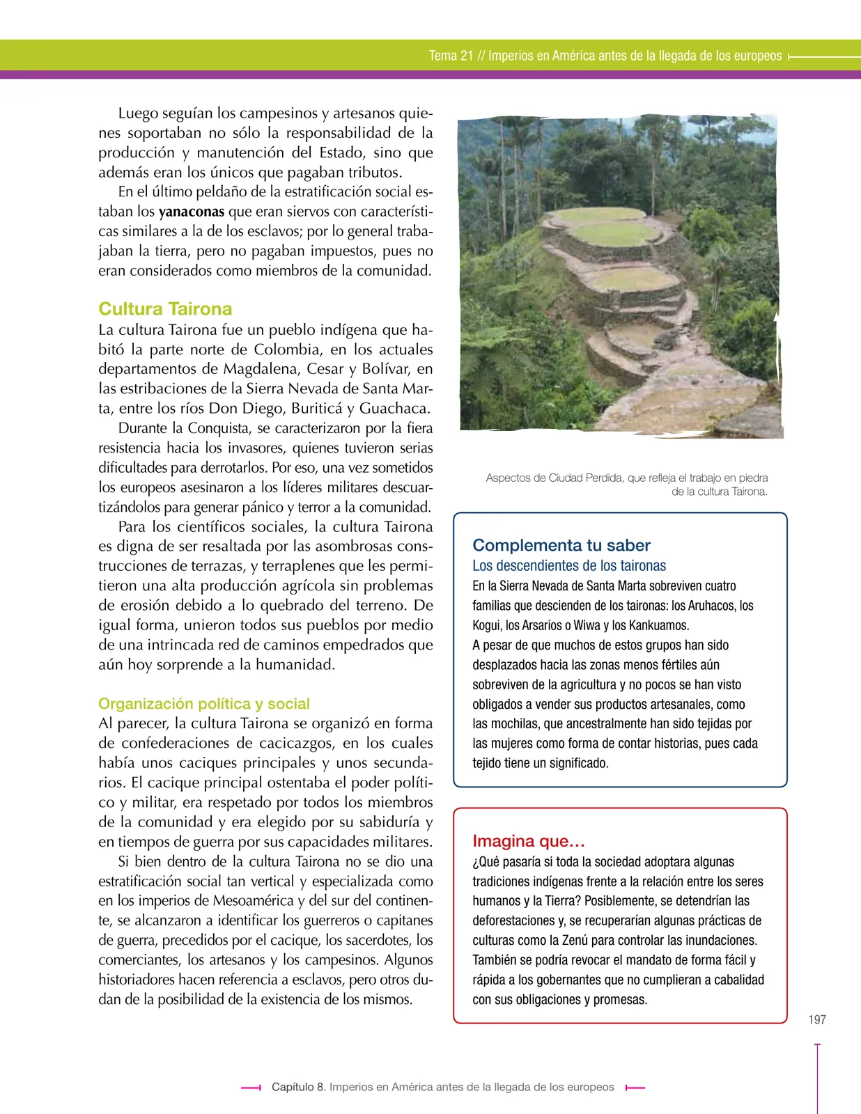 Página 197