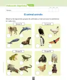Miniatura página 117 de Ciencias Naturales – Segundo Básico | Texto del Estudiante MINEDUC – Descargar PDF · 2024