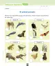 Miniatura página 117 de Ciencias Naturales – Segundo Básico | Texto del Estudiante MINEDUC – Descargar PDF · 2024