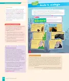 Miniatura página 170 de Historia, Geografía y Ciencias Sociales – Sexto Básico | Texto del Estudiante MINEDUC – Descargar PDF · 2024