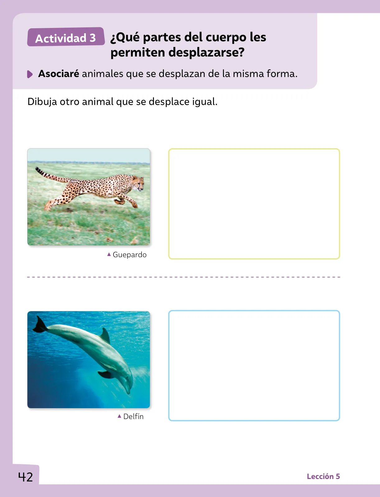 Página 43 de Ciencias Naturales – Primero Básico | Texto del Estudiante (MINEDUC) – Descargar PDF · 2024