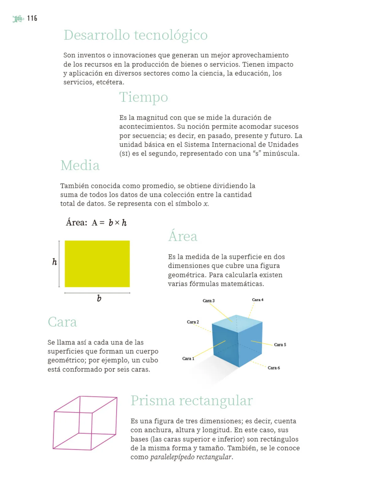 Página 117 de Nuestros saberes: Libro para alumnos, maestros y familia. Libro de Educación Primaria Grado 5° Ciclo Escolar 2025 - 2026