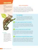 Miniatura página 205 de Lenguaje y Comunicación – Quinto Básico | Texto del Estudiante MINEDUC – Descargar PDF · 2024