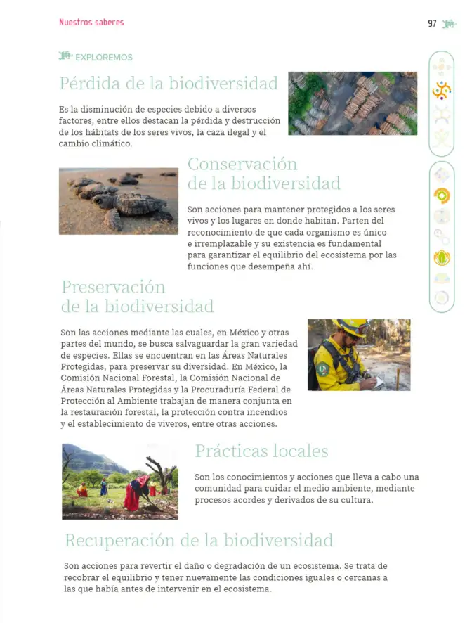 Página 98 de Nuestros saberes: Libro para alumnos, maestros y familia. Libro de Educación Primaria Grado 5° Ciclo Escolar 2025 - 2026