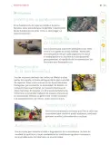 Miniatura página 98 de Nuestros saberes: Libro para alumnos, maestros y familia.   Libro de Educación Primaria Grado 5°  Ciclo Escolar 2025 - 2026