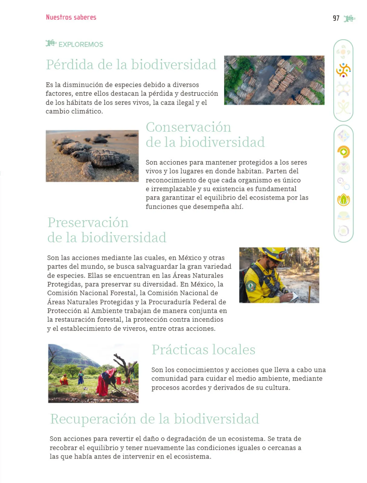 Miniatura página 98 de Nuestros saberes: Libro para alumnos, maestros y familia.   Libro de Educación Primaria Grado 5°  Ciclo Escolar 2025 - 2026