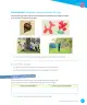 Miniatura página 57 de Lenguaje y Comunicación – Tercero Básico | Texto del Estudiante MINEDUC – Descargar PDF · 2024