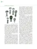 Miniatura página 127 de Crianza para la libertad. Libro para las familias. Fase 2  Libro de Educación Preescolar Grado 1°, 2°, 3°  Ciclo Escolar 2025 - 2026