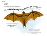Miniatura página 59 de Múltiples lenguajes.   Libro de Educación Preescolar Grado 1°  Ciclo Escolar 2025 - 2026