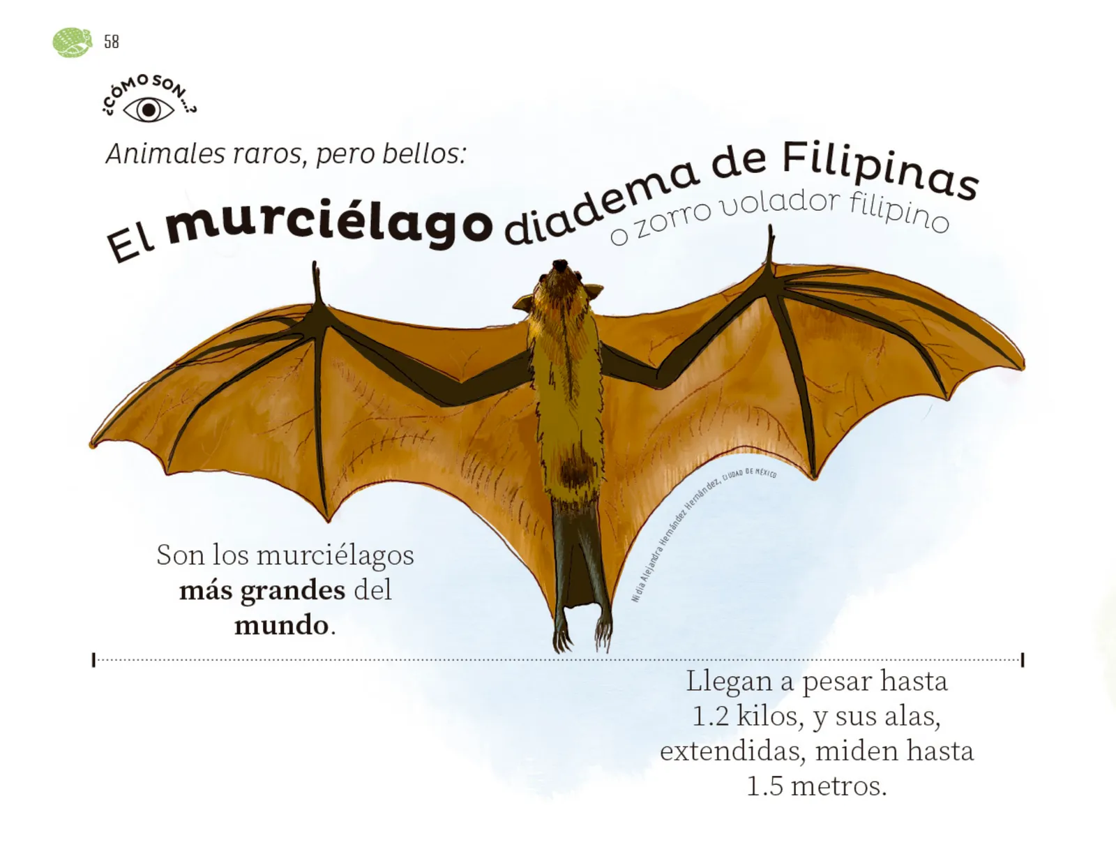 Miniatura página 59 de Múltiples lenguajes.   Libro de Educación Preescolar Grado 1°  Ciclo Escolar 2025 - 2026