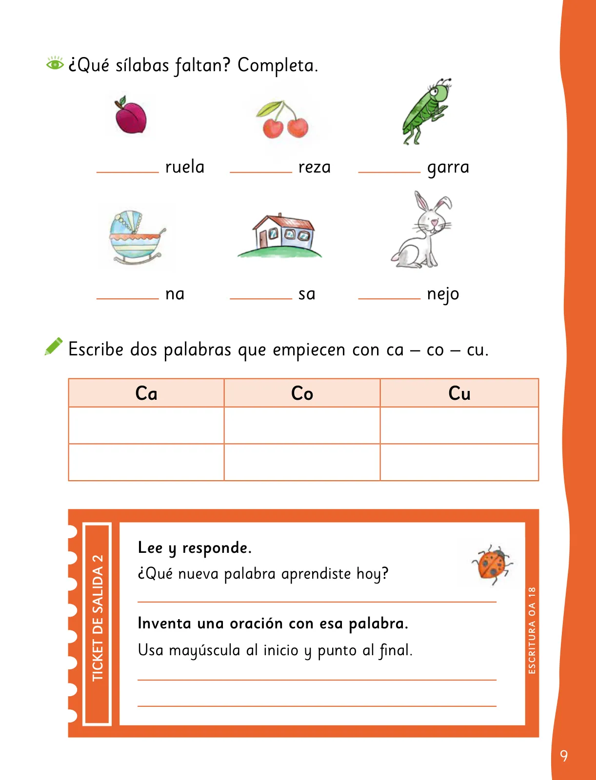 Pág 11