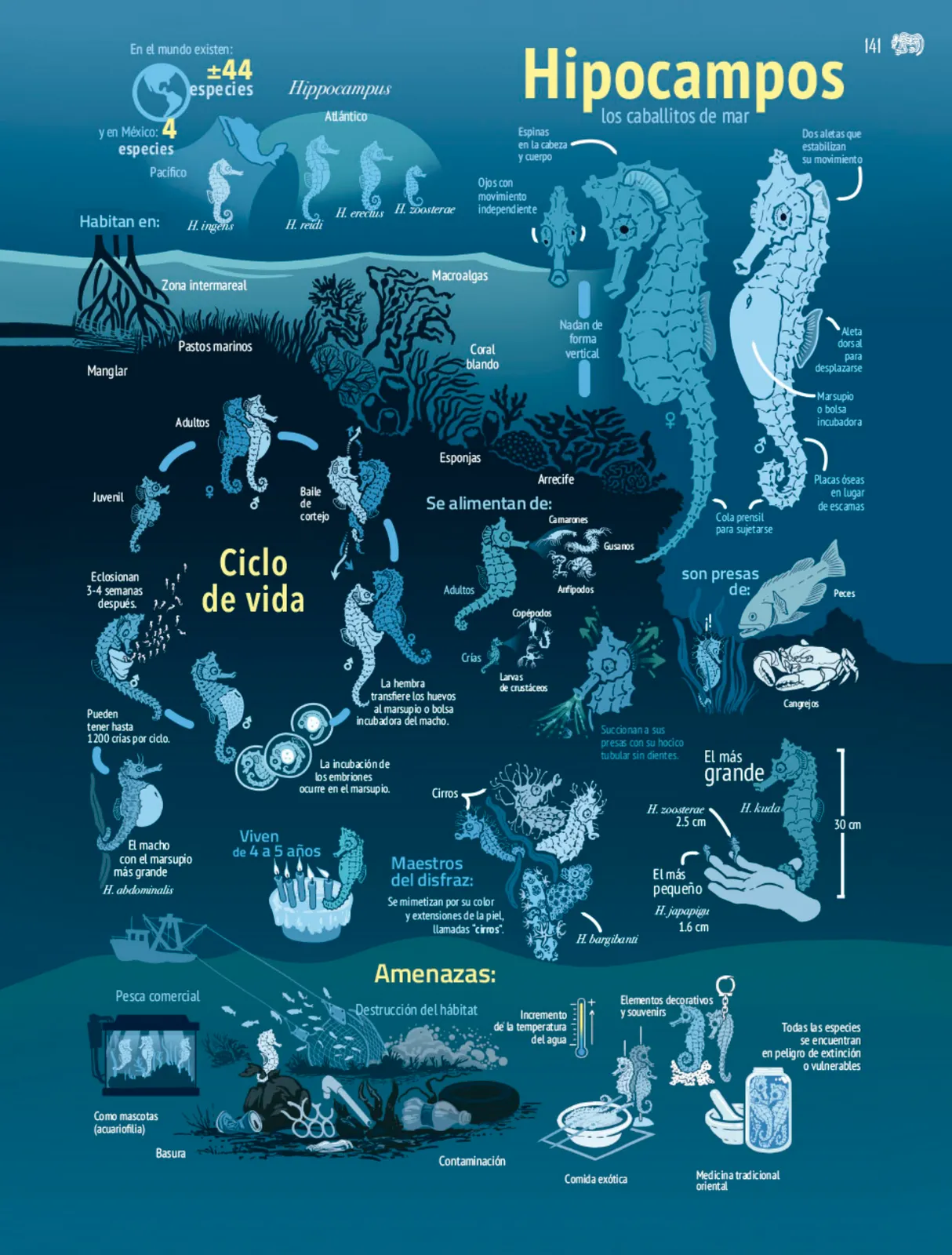 Página 142 de Colección Ximhai. Múltiples lenguajes. Libro de Educación Secundaria Grado 1° Ciclo Escolar 2025 - 2026